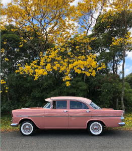 May the EK Vintage wedding car transport in the Byron Hinterland